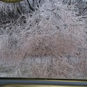 Meet your Posher, Christy